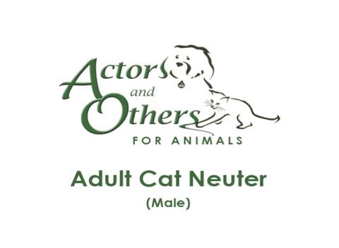 Adult_Cat_Neuter
