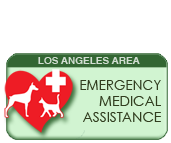 Emergency Medical Assistance