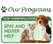 Spay and Neuter Assistance