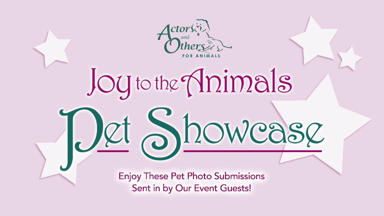 Joy to Animals 2016